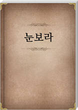 눈보라