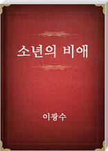 소년의비애