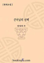 큰처남의 선택