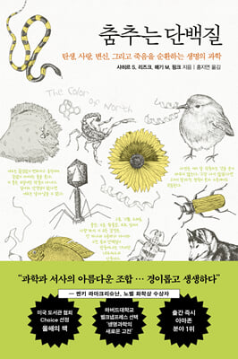춤추는 단백질
